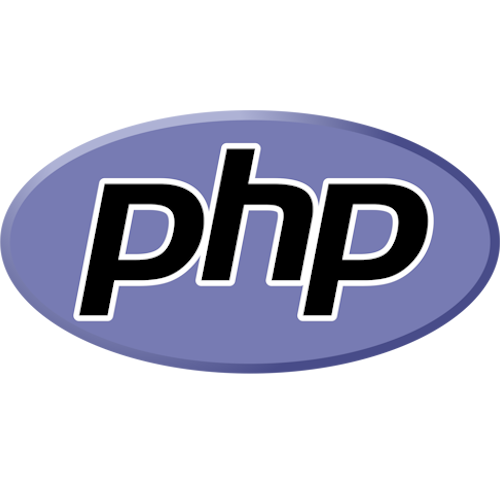 CSS Logo